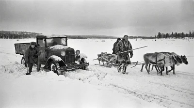 Арктические олени: мохнатый батальон Заполярья